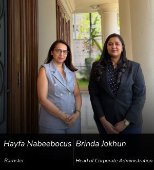 Management Companies: Advanced Strategies and Insights for Professionals A Governance Perspective