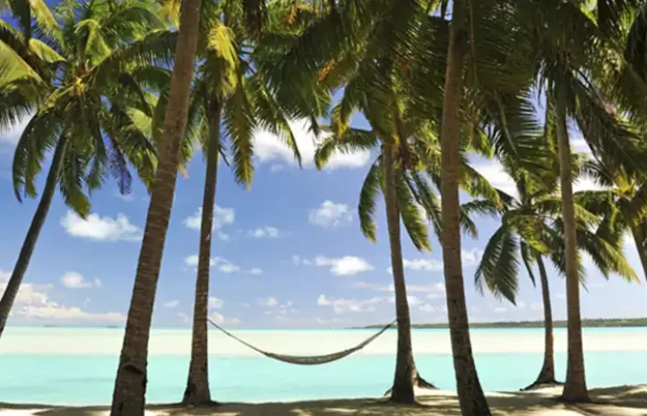 business-structuring-corporate-governance-mauritius